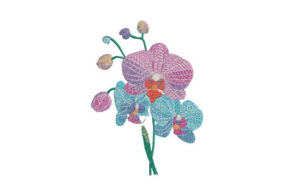 Bouquet Orchid Review